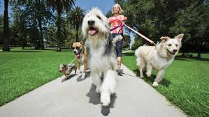 Morso di cane responsabilità